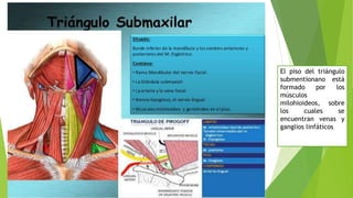 El piso del triángulo
submentionano está
formado por los
músculos
milohioideos, sobre
los cuales se
encuentran venas y
ganglios linfáticos
 