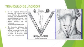 TRIANGULO DE JACKSON
 Es un espacio triangular
limitado por debajo por la
parte inferior del cartílago
tiroides, con el vértice en la
horquilla supraesternal y los
lados coincidiendo con los
bordes internos de los
músculos
esternocleidomastoideos.
 Se denomina triángulo de
seguridad de Jackson
porque incluye el límite del
área a través del cual puede
incidirse la tráquea para
hacer una traqueotomía.
 