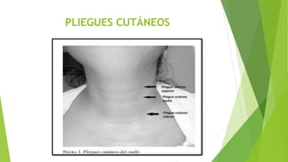 PLIEGUES CUTÁNEOS
 
