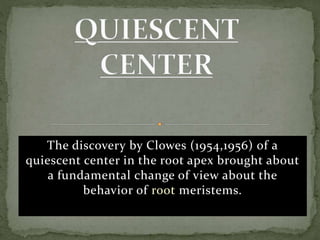 The discovery by Clowes (1954,1956) of a
quiescent center in the root apex brought about
a fundamental change of view about the
behavior of root meristems.
 