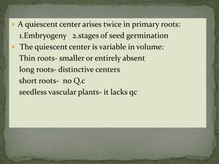  A quiescent center arises twice in primary roots:
1.Embryogeny 2.stages of seed germination
 The quiescent center is variable in volume:
Thin roots- smaller or entirely absent
long roots- distinctive centers
short roots- no Q.c
seedless vascular plants- it lacks qc
 