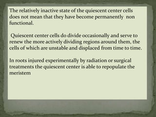 The relatively inactive state of the quiescent center cells
does not mean that they have become permanently non
functional.
Quiescent center cells do divide occasionally and serve to
renew the more actively dividing regions around them, the
cells of which are unstable and displaced from time to time.
In roots injured experimentally by radiation or surgical
treatments the quiescent center is able to repopulate the
meristem
 