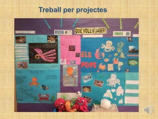 Treball per projectes
 