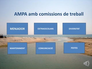 AMPA amb comissions de treball
MENJADOR EXTRAESCOLARS
MANTENIMENT COMUNICACIÓ
DIVERSITAT
FESTES
 