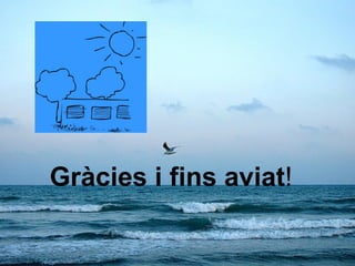 Gràcies i fins aviat!
 