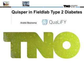Quisper in Fieldlab Type 2 Diabetes
André Boorsma
 
