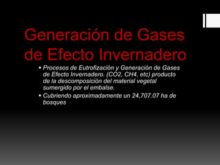 Generación de Gases
de Efecto Invernadero
 Procesos de Eutrofización y Generación de Gases
de Efecto Invernadero. (CO2, CH4, etc) producto
de la descomposición del material vegetal
sumergido por el embalse.
 Cubriendo aproximadamente un 24,707.07 ha de
bosques
 