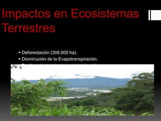 Impactos en Ecosistemas
Terrestres
 Deforestación (308.000 ha).
 Disminución de la Evapotranspiración.
 Deslizamientos de capas del subsuelo.
 