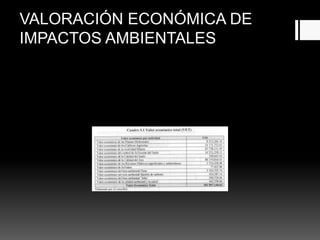 VALORACIÓN ECONÓMICA DE
IMPACTOS AMBIENTALES
 