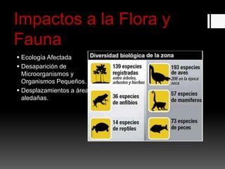 Impactos a la Flora y
Fauna
 Ecología Afectada
 Desaparición de
Microorganismos y
Organismos Pequeños.
 Desplazamientos a área
aledañas.
 
