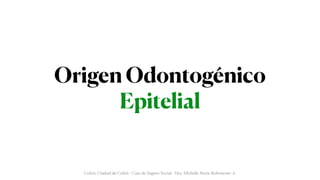 Origen Odontogénico
Epitelial
Colón, Ciudad de Colón - Caja de Seguro Social - Dra. Michelle Marie Rohrmoser A.
 