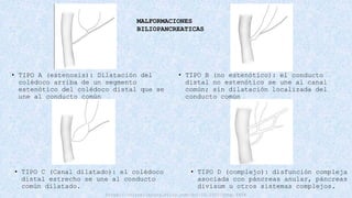 QUISTE DE COLEDOCO manejo, clasificación y tratamiento | PPTX