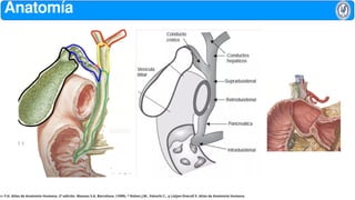 choledochal cyst, anatomy, classification and pathophysiology | PPTX