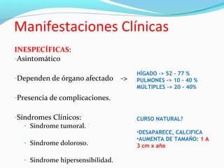 Manifestaciones Clínicas
INESPECÍFICAS:
-Asintomático
-Dependen de órgano afectado ->
-Presencia de complicaciones.
-Síndromes Clínicos:
- Síndrome tumoral.
- Síndrome doloroso.
- Síndrome hipersensibilidad.
CURSO NATURAL?
•DESAPARECE, CALCIFICA
•AUMENTA DE TAMAÑO: 1 A
3 cm x año
HÍGADO -> 52 – 77 %
PULMONES -> 10 – 40 %
MÚLTIPLES -> 20 – 40%
 