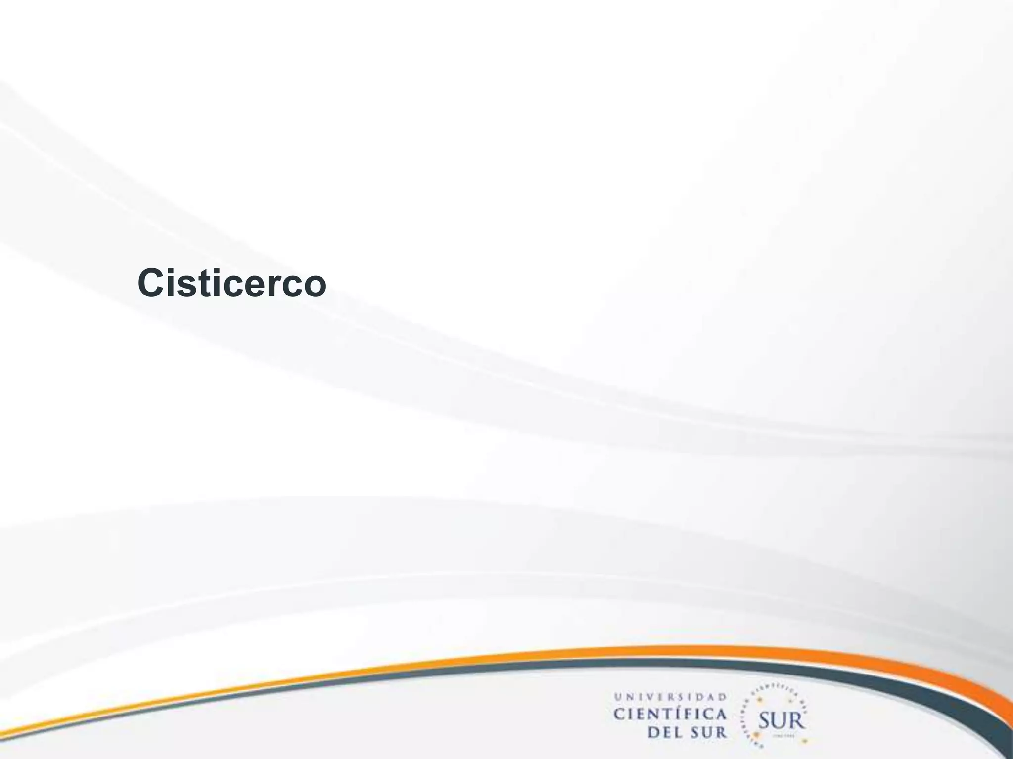 Cisticerco