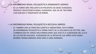 • LA ENFERMEDAD RENAL POLIQUÍSTICA DOMINANTE (ADPKD)
• ES LA FORMA MÁS FRECUENTE EN PACIENTES DE EDAD AVANZADA.
PRODUCE INSUFICIENCIA RENAL AVANZADA, QUE HA DE TRATARSE
CON DIÁLISIS O TRASPLANTE DE RIÑÓN.
• LA ENFERMEDAD RENAL POLIQUÍSTICA RECESIVA (ARPKD)
• ES TAMBIÉN UNA ALTERACIÓN GENÉTICA HEREDITARIA; ESTA FORMA
DE ENFERMEDAD POLIQUÍSTICA FORMA PARTE DE LA SECUENCIA DE POTTER, UNA
COMBINACIÓN DE VARIAS MALFORMACIONES QUE AFECTA A ALREDEDOR DEL 0,01%
DE LOS RECIÉN NACIDOS. ALREDEDOR DE LA MITAD DE LOS NIÑOS AFECTADOS
MUEREN TRANSCURRIDOS UNOS DÍAS O UNAS SEMANAS.
 