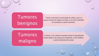 •Tienen crecimiento incontrolado de células, pero no
causan invasión de tejidos normales y no tienen habilidad
de extenderse a partes distantes.
Tumores
benignos
•O cáncer, si las células tumorales tienen la capacidad de
invadir tejidos y de esparcirse localmente, como también,
a partes distantes del cuerpo
Tumores
maligno
 