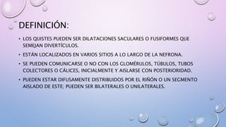 DEFINICIÓN:
• LOS QUISTES PUEDEN SER DILATACIONES SACULARES O FUSIFORMES QUE
SEMEJAN DIVERTÍCULOS.
• ESTÁN LOCALIZADOS EN VARIOS SITIOS A LO LARGO DE LA NEFRONA.
• SE PUEDEN COMUNICARSE O NO CON LOS GLOMÉRULOS, TÚBULOS, TUBOS
COLECTORES O CÁLICES, INICIALMENTE Y AISLARSE CON POSTERIORIDAD.
• PUEDEN ESTAR DIFUSAMENTE DISTRIBUIDOS POR EL RIÑÓN O UN SEGMENTO
AISLADO DE ESTE; PUEDEN SER BILATERALES O UNILATERALES.
 