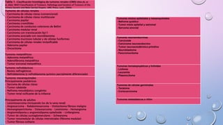 Tabla 1. Clasificación histológica de tumores renales (OMS) (Eble JN, et
al.,(Eds): WHO Classification of Tumours. Pathology and Genetics of Tumours of the
Urinary System and Male Genital Organs. IARC Press, Lyon, 2004).
Tumores de células renales
- Carcinoma de células claras (convencional)
- Carcinoma de células claras multilocular
- Carcinoma papilar
- Carcinoma cromófobo
- Carcinoma de conductos colectores de Bellini
- Carcinoma medular renal
- Carcinoma con translocación Xp11
- Carcinoma asociado con neuroblastoma
- Carcinoma mucinoso tubular y de células fusiformes
- Carcinoma de células renales inclasificable
- Adenoma papilar
- Oncocitoma
Tumores metanéfricos
- Adenoma metanéfrico
- Adenofibroma metanéfrico
- Tumor estromal metanéfrico
Tumores nefroblásticos
- Restos nefrogénicos
- Nefroblastoma (y nefroblastoma quístico parcialmente diferenciado)
Tumores mesenquimales
Principalmente pediátricos
- Sarcoma de células claras
- Tumor rabdoide
- Nefroma mesoblástico congénito
- Tumor renal osificante de la infancia
Principalmente de adultos
- Leiomiosarcoma (incluyendo los de la vena renal)
- Angiosarcoma - Rabdomiosarcoma - Histiocitoma fibroso maligno
- Hemangiopericitoma - Osteosarcoma - Leiomioma - Hemangioma
- Angiomiolipoma y angiomiolipoma epitelioide - Linfangioma
- Tumor de células yuxtaglomerulares - Schwanoma
- Tumor renomedular de células intersticiales (fibroma medular)
- Tumor fibroso solitario
Tumores mixtos epiteliales y mesenquimales
- Nefroma quístico
- Tumor mixto epitelial y estromal
- Sarcoma sinovial
Tumores neuroendocrinos
- Carcinoide
- Carcinoma neuroendocrino
- Tumor neuroectodérmico primitivo
- Neuroblastoma
- Feocromocitoma
Tumores hematopoyéticos y linfoides
- Linfoma
- Leucemia
- Plasmocitoma
Tumores de células germinales
- Teratoma
- Coriocarcinoma
Tumores metastásicos a riñón
 