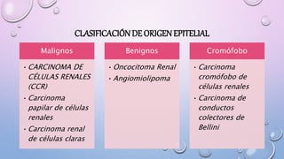 CLASIFICACIÓN DE ORIGENEPITELIAL
Malignos
•CARCINOMA DE
CÉLULAS RENALES
(CCR)
•Carcinoma
papilar de células
renales
•Carcinoma renal
de células claras
Benignos
•Oncocitoma Renal
•Angiomiolipoma
Cromófobo
•Carcinoma
cromófobo de
células renales
•Carcinoma de
conductos
colectores de
Bellini
 