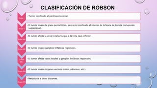 CLASIFICACIÓN DE ROBSON
Etapa I:
•Tumor confinado al parénquima renal.
Etapa II
•El tumor invade la grasa perinefrítica, pero está confinado al interior de la fascia de Gerota (incluyendo
suprarrenal).
Etapa IIIA
•El tumor afecta la vena renal principal o la vena cava inferior.
Etapa IIIB
•El tumor invade ganglios linfáticos regionales.
Etapa
IIIC:
•El tumor afecta vasos locales y ganglios linfáticos regionales
Etapa IVA
•El tumor invade órganos vecinos (colon, páncreas, etc.).
Etapa IVB
•Metástasis a sitios distantes.
 