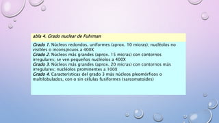 abla 4. Grado nuclear de Fuhrman
Grado 1. Núcleos redondos, uniformes (aprox. 10 micras); nucléolos no
visibles o inconspicuos a 400X
Grado 2. Núcleos más grandes (aprox. 15 micras) con contornos
irregulares; se ven pequeños nucléolos a 400X
Grado 3. Núcleos más grandes (aprox. 20 micras) con contornos más
irregulares; nucléolos prominentes a 100X
Grado 4. Características del grado 3 más núcleos pleomórficos o
multilobulados, con o sin células fusiformes (sarcomatoides)
 