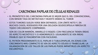 CARCINOMA PAPILAR DE CÉLULAS RENALES
• EL PRONÓSTICO DEL CARCINOMA PAPILAR ES MEJOR QUE EL DEL CONVENCIONAL,
CON MENOR TASA DE METÁSTASIS Y MUERTE DEBIDO AL TUMOR
• ESTOS TUMORES SUELEN VERSE BIEN DEFINIDOS, CON LÍMITE NETO Y, EN
MUCHOS CASOS, RODEADOS POR UNA DELGADA SEUDOCÁPSULA FIBROSA DE
TEJIDO CIRCUNDANTE COMPRIMIDO.
• SON DE COLOR MARRÓN, AMARILLO O ROJIZO; CON FRECUENCIA TIENEN ÁREAS
DE ASPECTO NECRÓTICO Y/O HEMORRÁGICO. USUALMENTE SE VEN ÁREAS
FRIABLES QUE SE FRAGMENTAN CON FACILIDAD.
• EL PATRÓN PREDOMINANTE ES EL PAPILAR O TUBULOPAPILAR, EN ZONAS CON
CRECIMIENTO MÁS COMPACTO SE VEN DE ASPECTO SÓLIDO O TRABECULAR. LA
HILAINIZACIÓN DE LOS TALLOS DE LAS PAPILAS PUEDE IMPARTIRLES UN ASPECTO
ESCLERÓTICO.
 