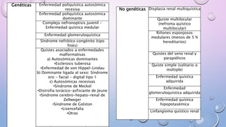 Genéticas Enfermedad poliquística autosómica
recesiva
Enfermedad poliquística autosómica
dominante
Complejo nefronoptisis juvenil -
Enfermedad quística medular
Enfermedad glomeruloquística
Síndrome nefrótico congénito (tipo
finés)
Quistes asociados a enfermedades
malformativas
a) Autosómicas dominantes
•Esclerosis tuberosa
•Enfermedad de von Hippel-Lindau
b) Dominante ligada al sexo: Síndrome
oro - facial - digital tipo 1
c) Autosómicas recesivas
•Síndrome de Meckel
•Distrofia torácico-asfixiante de Jeune
•Síndrome cerebro-hepato-renal de
Zellweger
•Síndrome de Golston
•Lisencefalia
•Otras
No genéticas Displasia renal multiquística
Quiste multilocular
(nefroma quístico
multilocular)
Riñones esponjosos
medulares (menos de 5 %
hereditarios)
Quistes del seno renal y
parapiélicos
Quiste simple (solitario o
múltiple)
Enfermedad quística
adquirida
Enfermedad
glomeruloquística adquirida
Enfermedad quística
hipopotasémica
Linfangioma quístico renal
 