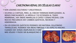 CARCINOMARENALDE CÉLULAS CLARAS
• SON LESIONES SOLITARIAS Y UNILATERALES.
• OCUPAN LA CORTEZA, PERO, AL CRECER TERMINAN REMPLAZANDO, AL
MENOS PARCIALMENTE, LA MÉDULA Y SE EXTIENDEN AL TEJIDO
PERIRRENAL. HAY ÁREAS AMARILLAS O CAFÉS Y ZONAS PÁLIDAS; CON
MUCHA FRECUENCIA HAY CAMBIOS QUÍSTICOS, NECROSIS Y
HEMORRAGIA.
• EN LOS ESPACIOS QUÍSTICOS PODEMOS VER MATERIAL GELATINOSO
TRANSLÚCIDO. PODEMOS VER ÁREAS FIBROSAS Y DE ASPECTO HIALINO.
CUANDO HAY ZONAS ANAPLÁSICAS O SARCOMATOIDES EL ASPECTO ES
MÁS SÓLIDO Y PUEDE SER BLANQUECINO COMO "CARNE DE PESCADO
 