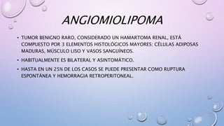 ANGIOMIOLIPOMA
• TUMOR BENIGNO RARO, CONSIDERADO UN HAMARTOMA RENAL, ESTÁ
COMPUESTO POR 3 ELEMENTOS HISTOLÓGICOS MAYORES: CÉLULAS ADIPOSAS
MADURAS, MÚSCULO LISO Y VASOS SANGUÍNEOS.
• HABITUALMENTE ES BILATERAL Y ASINTOMÁTICO.
• HASTA EN UN 25% DE LOS CASOS SE PUEDE PRESENTAR COMO RUPTURA
ESPONTÁNEA Y HEMORRAGIA RETROPERITONEAL.
 