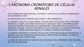 CARCINOMA CROMÓFOBO DE CÉLULAS
RENALES
• SON TUMORES BIEN CIRCUNSCRITOS, SOLITARIOS Y CORTICALES, DE ASPECTO HOMOGÉNEO Y
COLOR MARRÓN O CAFÉ.
• SE HAN DESCRITO DOS VARIANTES UNA CLÁSICA Y UNA EOSINOFÍLICA.
• LA VARIANTE CLÁSICA ES LA MÁS COMÚN, SE CARACTERIZA POR CÉLULAS CON CITOPLASMA
ABUNDANTE, PÁLIDO, CON ASPECTO RETICUALR O GRANULAR, HALO CLARO PERINUCLEAR Y
UNA ZONA PERIFÉRICA MÁS DENSA DE CONDENSACIÓN CITOPLASMÁTICA ADYACENTE A LA
MEMBRANA CELULAR; EL ASPECTO RECUERDA CÉLULAS VEGETALES. LOS NUCLEOS SUELEN SER
CENTRALES Y TIENEN CROMATINA BURDA CON VARIABLE TAMAÑO DE NUCLÉOLOS.
• LA VARIANTE EOSINOFÍLICA CONTIENE CÉLULAS CON CITOPLASMA GRANULAR EOSINOFÍLICO, A
MENUDO CON HALO PERINUCLEAR (QUE NO SUELE VERSE EN ONCOCITOMAS) Y UN ASPECTO
MUY SIMILAR AL DEL ONCOCITOMA.
• LA ARQUITECTURA DE ESTOS TUMORES SUELE SER SÓLIDA, SIN LA PROMINENTE RED VASCULAR
DEL CCR CONVENCIONAL.
 