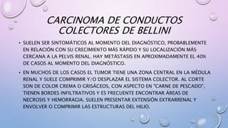CARCINOMA DE CONDUCTOS
COLECTORES DE BELLINI
• SUELEN SER SINTOMÁTICOS AL MOMENTO DEL DIAGNÓSTICO, PROBABLEMENTE
EN RELACIÓN CON SU CRECIMIENTO MÁS RÁPIDO Y SU LOCALIZACIÓN MÁS
CERCANA A LA PELVIS RENAL. HAY METÁSTASIS EN APROXIMADAMENTE EL 40%
DE CASOS AL MOMENTO DEL DIAGNÓSTICO.
• EN MUCHOS DE LOS CASOS EL TUMOR TIENE UNA ZONA CENTRAL EN LA MÉDULA
RENAL Y SUELE COMPRIMIR Y/O DESPLAZAR EL SISTEMA COLECTOR. AL CORTE
SON DE COLOR CREMA O GRISÁCEOS, CON ASPECTO EN "CARNE DE PESCADO",
TIENEN BORDES INFILTRATIVOS Y ES FRECUENTE ENCONTRAR ÁREAS DE
NECROSIS Y HEMORRAGIA. SUELEN PRESENTAR EXTENSIÓN EXTRARRENAL Y
ENVOLVER O COMPRIMIR LAS ESTRUCTURAS DEL HILIO.
 
