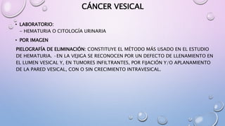 CÁNCER VESICAL
• LABORATORIO:
- HEMATURIA O CITOLOGÍA URINARIA
• POR IMAGEN
PIELOGRAFÍA DE ELIMINACIÓN: CONSTITUYE EL MÉTODO MÁS USADO EN EL ESTUDIO
DE HEMATURIA. ·EN LA VEJIGA SE RECONOCEN POR UN DEFECTO DE LLENAMIENTO EN
EL LUMEN VESICAL Y, EN TUMORES INFILTRANTES, POR FIJACIÓN Y/O APLANAMIENTO
DE LA PARED VESICAL, CON O SIN CRECIMIENTO INTRAVESICAL.
 
