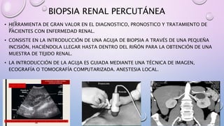 BIOPSIA RENAL PERCUTÁNEA
• HERRAMIENTA DE GRAN VALOR EN EL DIAGNOSTICO, PRONOSTICO Y TRATAMIENTO DE
PACIENTES CON ENFERMEDAD RENAL.
• CONSISTE EN LA INTRODUCCIÓN DE UNA AGUJA DE BIOPSIA A TRAVÉS DE UNA PEQUEÑA
INCISIÓN, HACIÉNDOLA LLEGAR HASTA DENTRO DEL RIÑÓN PARA LA OBTENCIÓN DE UNA
MUESTRA DE TEJIDO RENAL.
• LA INTRODUCCIÓN DE LA AGUJA ES GUIADA MEDIANTE UNA TÉCNICA DE IMAGEN,
ECOGRAFÍA O TOMOGRAFÍA COMPUTARIZADA. ANESTESIA LOCAL.
 