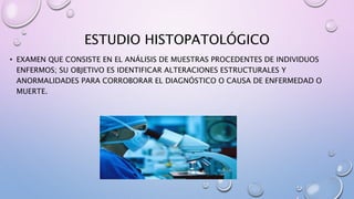 ESTUDIO HISTOPATOLÓGICO
• EXAMEN QUE CONSISTE EN EL ANÁLISIS DE MUESTRAS PROCEDENTES DE INDIVIDUOS
ENFERMOS; SU OBJETIVO ES IDENTIFICAR ALTERACIONES ESTRUCTURALES Y
ANORMALIDADES PARA CORROBORAR EL DIAGNÓSTICO O CAUSA DE ENFERMEDAD O
MUERTE.
 