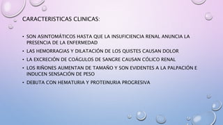 CARACTERISTICAS CLINICAS:
• SON ASINTOMÁTICOS HASTA QUE LA INSUFICIENCIA RENAL ANUNCIA LA
PRESENCIA DE LA ENFERMEDAD
• LAS HEMORRAGIAS Y DILATACIÓN DE LOS QUISTES CAUSAN DOLOR
• LA EXCRECIÓN DE COÁGULOS DE SANGRE CAUSAN CÓLICO RENAL
• LOS RIÑONES AUMENTAN DE TAMAÑO Y SON EVIDENTES A LA PALPACIÓN E
INDUCEN SENSACIÓN DE PESO
• DEBUTA CON HEMATURIA Y PROTEINURIA PROGRESIVA
 