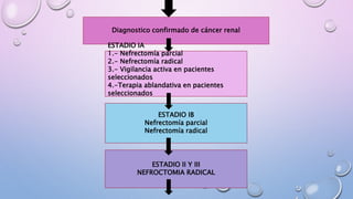 Diagnostico confirmado de cáncer renal
ESTADIO IA
1.- Nefrectomía parcial
2.- Nefrectomía radical
3.- Vigilancia activa en pacientes
seleccionados
4.-Terapia ablandativa en pacientes
seleccionados
ESTADIO IB
Nefrectomía parcial
Nefrectomía radical
ESTADIO II Y III
NEFROCTOMIA RADICAL
 