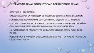 • ENFERMEDAD RENAL POLIQUÍSTICA O POLIQUISTOSIS RENAL:
• GENÉTICA O HEREDITARIA.
• CARACTERIZA POR LA PRESENCIA DE MÚLTIPLES QUISTES A NIVEL DEL RIÑÓN.
• SON LESIONES REDONDEADAS CON CONTENIDO LÍQUIDO EN SU INTERIOR.
• LOS QUISTES SON MUCHO Y PUEDEN LLEGAR A OCUPAR GRAN PARTE DEL RIÑÓN
GENERANDO UN DETERIORO EN SU FUNCIÓN E INSUFICIENCIA RENAL.
• LA ENFERMEDAD SE PRODUCE POR MUTACIONES EN LOS GENES PKD1, PKD2,
PKHD1.
• POLIQUISTINA-1 PROTEÍNA QUE CODIFICA EL GEN PKD1, LA MAS ACTIVA EN LAS
CÉLULAS DEL RIÑON.
 