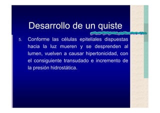 Quistes de la region maxilofacial