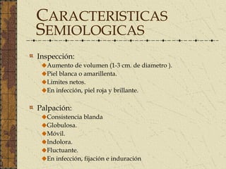 CARACTERISTICAS
SEMIOLOGICAS
Inspección:
  Aumento de volumen (1-3 cm. de diametro ).
  Piel blanca o amarillenta.
  Limites netos.
  En infección, piel roja y brillante.

Palpación:
  Consistencia blanda
  Globulosa.
  Móvil.
  Indolora.
  Fluctuante.
  En infección, fijación e induración
 
