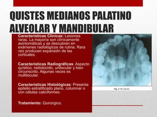 QUISTES MEDIANOS PALATINO
ALVEOLAR Y MANDIBULAR• Características Clínicas: Lesiones
raras. La mayoría son clínicamente
asintomáticas y se descubren en
exámenes radiológicos de rutina. Rara
vez producen expansión de las
corticales.
• Características Radiográficas: Aspecto
quístico, radiolúcido, unilocular y bien
circunscrito. Algunas veces es
multilocular.
• Características Histológicas: Presenta
epitelio estratificado plano, columnar o
con células caliciformes.
• Tratamiento: Quirúrgico.
 