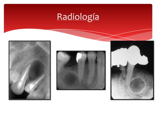 Radiología
 
