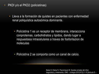 • PKDI y/o el PKD2 (policistinas)
• Lleva a la formación de quistes en pacientes con enfermedad
renal poliquística autosómica dominante.
• Policistina 1 es un receptor de membrana, interacciona
conproteinas, carbohidratos y lipidos, dando lugar a
respuestasa intracelulares a traves de fosforilazion de
moleculas
• Policistina 2 se comporta como un canal de calcio.
Belas O, Elalouf V, Peyromaure M. Quistes simples del riñon:
diagnóstico y tratamiento. EMC - Urología 2015;47(2):1-10 [Artículo E –
 
