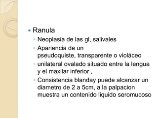   Ranula
    ◦ Neoplasia de las gl,.salivales
    ◦ Apariencia de un
      pseudoquiste, transparente o violáceo
    ◦ unilateral ovalado situado entre la lengua
      y el maxilar inferior ,
    ◦ Consistencia blanday puede alcanzar un
      diametro de 2 a 5cm, a la palpacion
      muestra un contenido liquido seromucoso
 