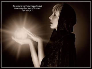 Je suis une plante sur laquelle vous
pouvez marcher sans m’écraser.
Qui suis-je ?
 