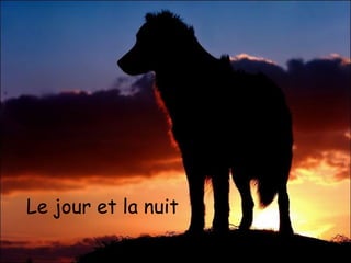 Le jour et la nuit
 