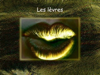 Les lèvres
 