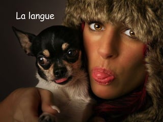 La langue
 