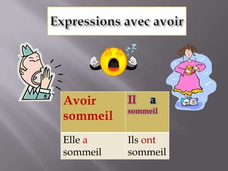 Expressions avec avoir