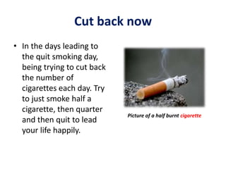 world record for fastest cigarette smoked Fastest Cigarette Smoked